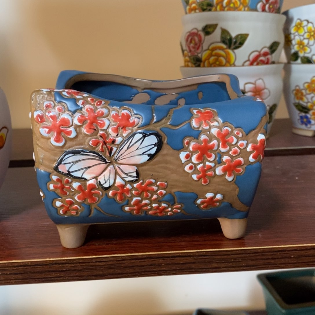 红陶韩式多肉植物花盆