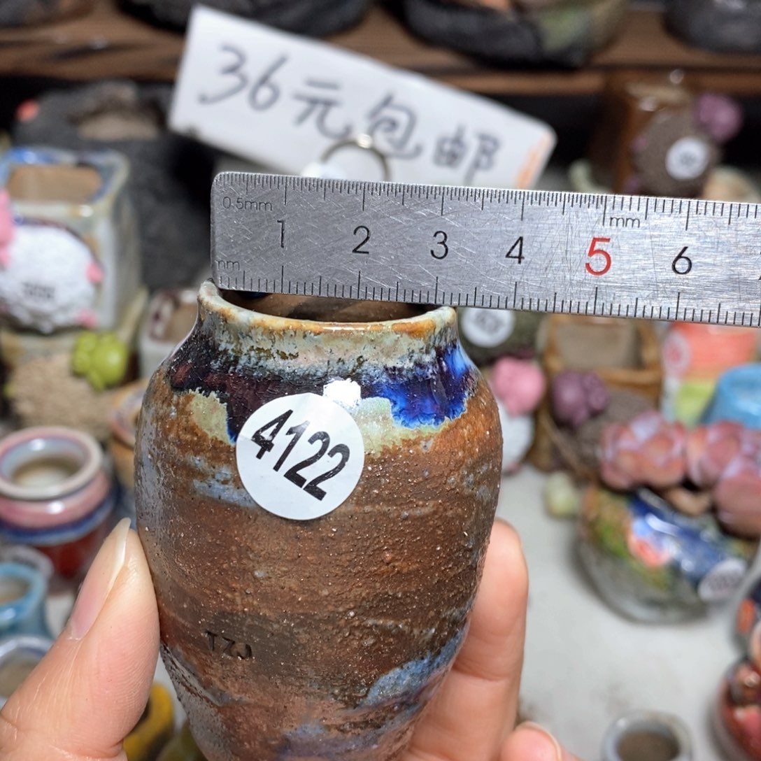 拍5送一个小礼物