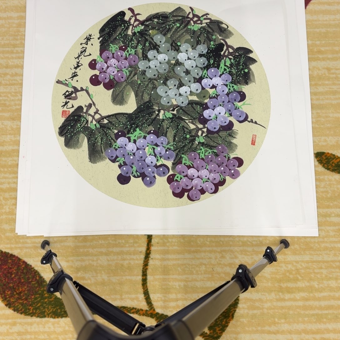 国画戴老师68花鸟卡纸9999