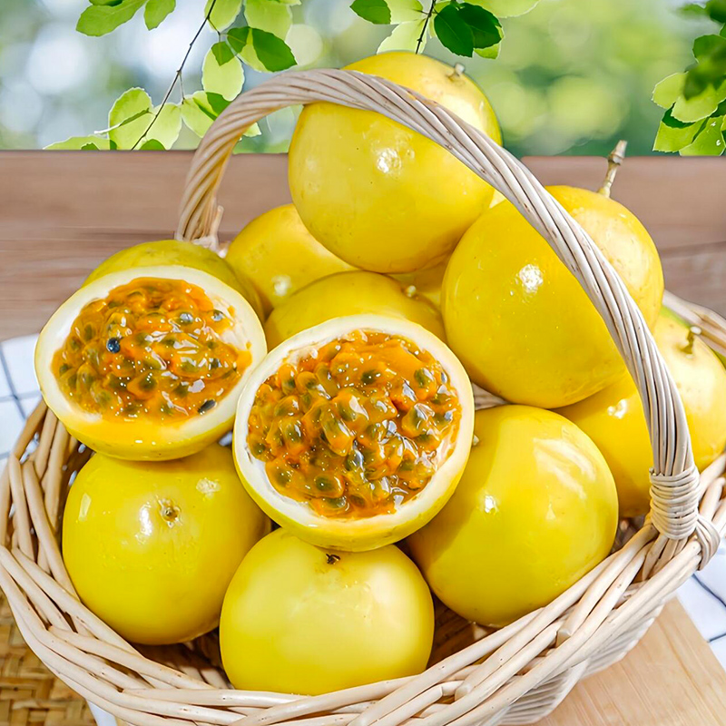 【黄金百香果】广西钦蜜9号百香果新鲜当季水果鲜甜饱满多汁纯甜x