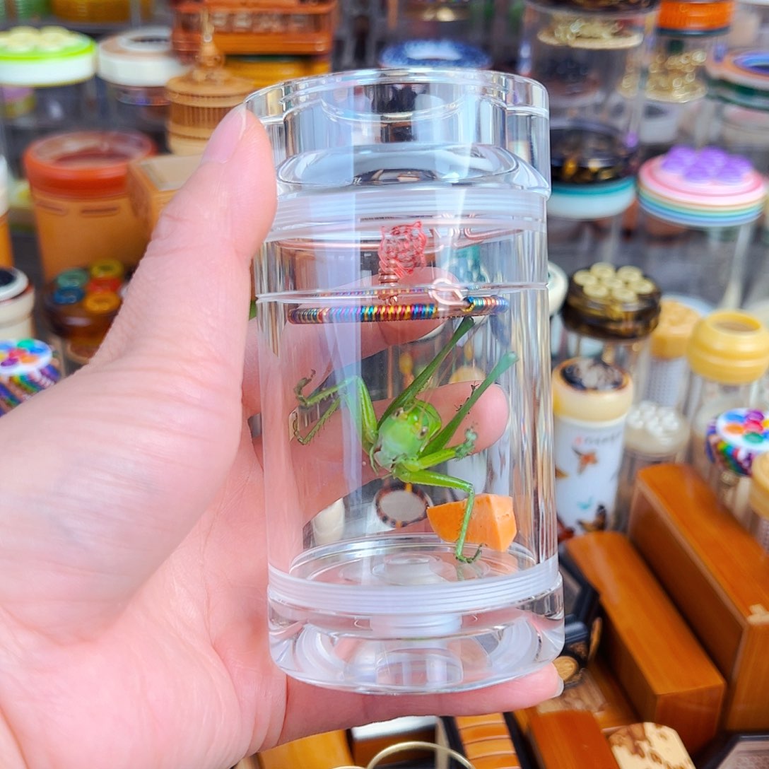 木白色老王罐➕彩簧➕翡翠绿锅锅