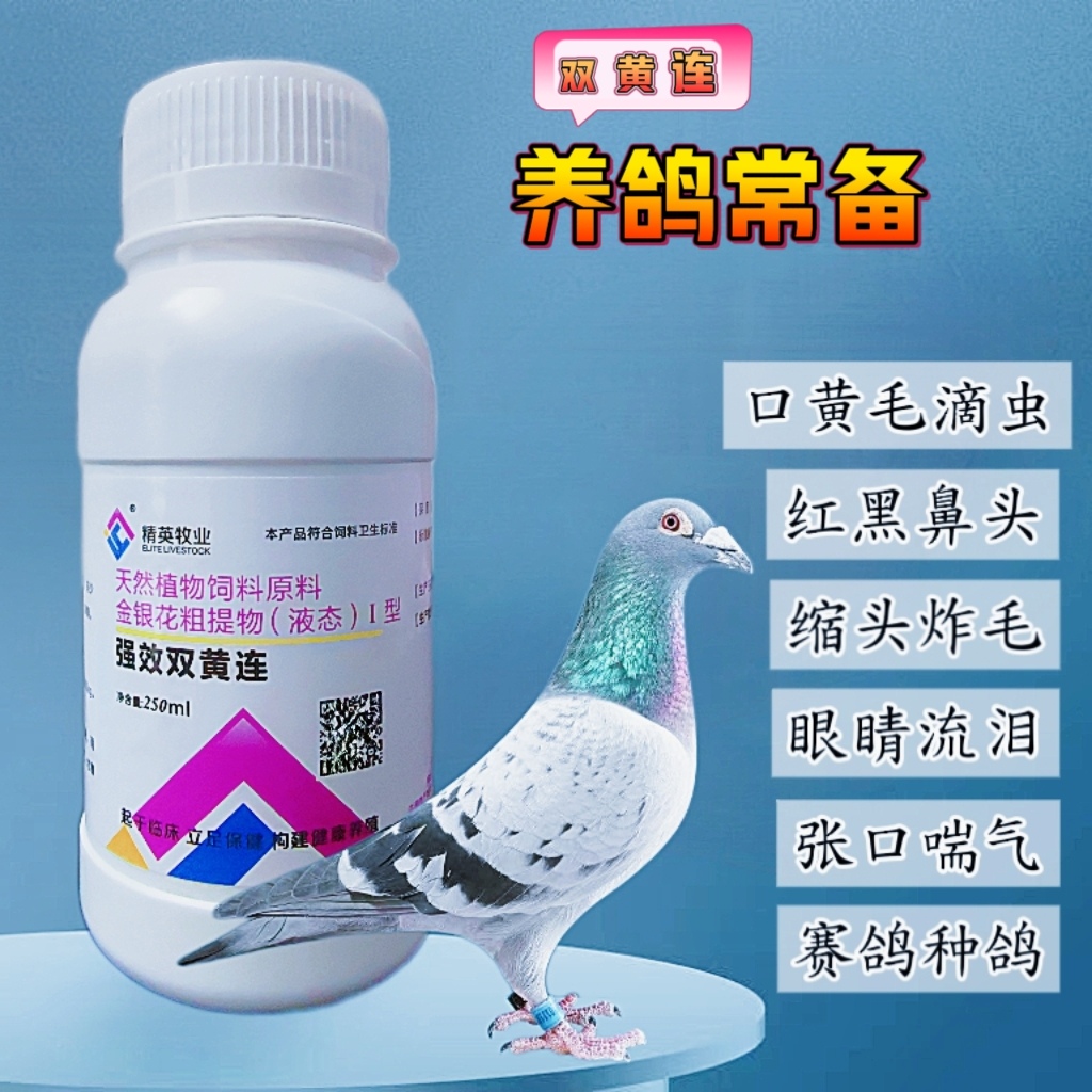 信鸽用品 强效双黄连营养液