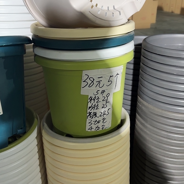 四季5#口径29果绿30个军绿20个无托