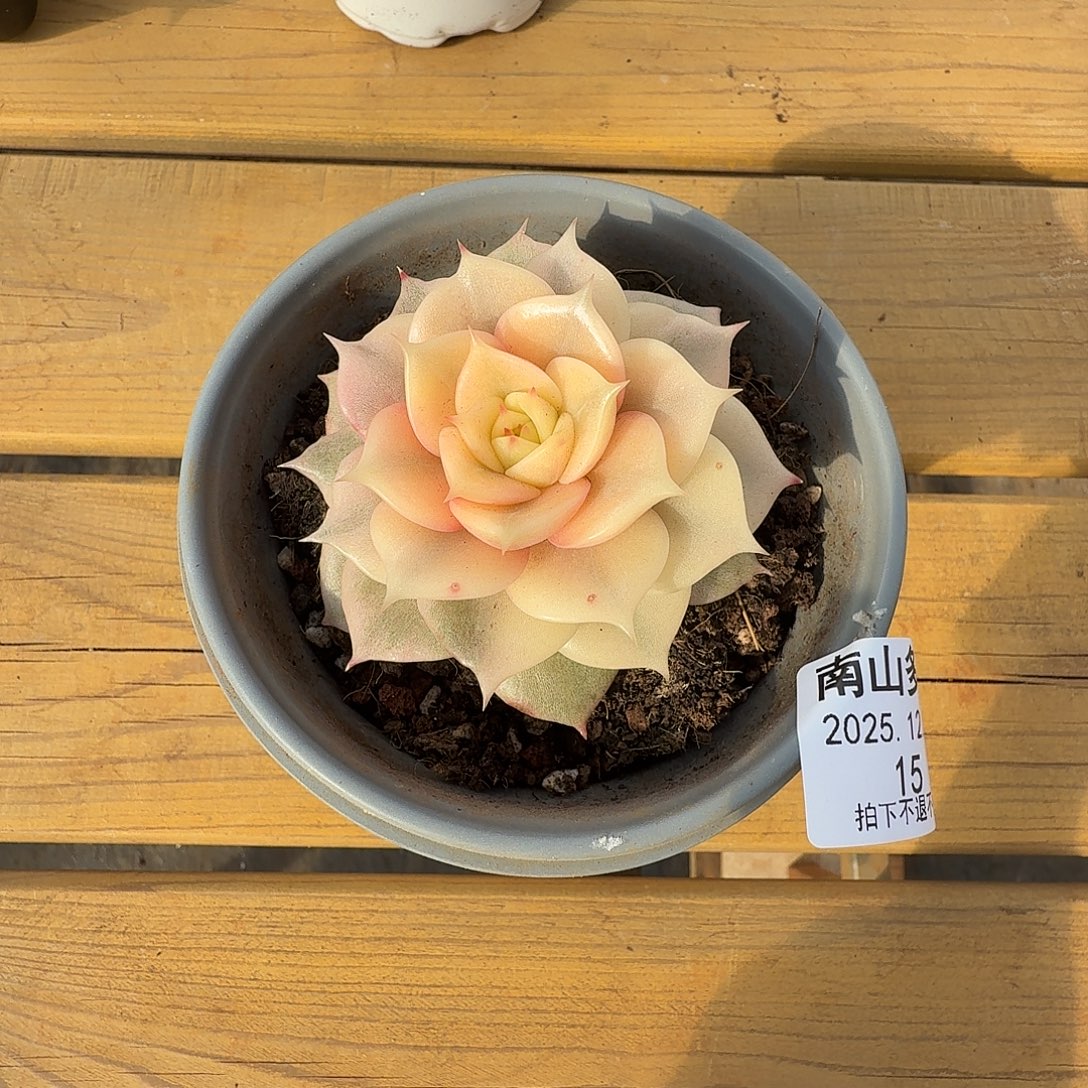 贝加尔湖锦1111231-15