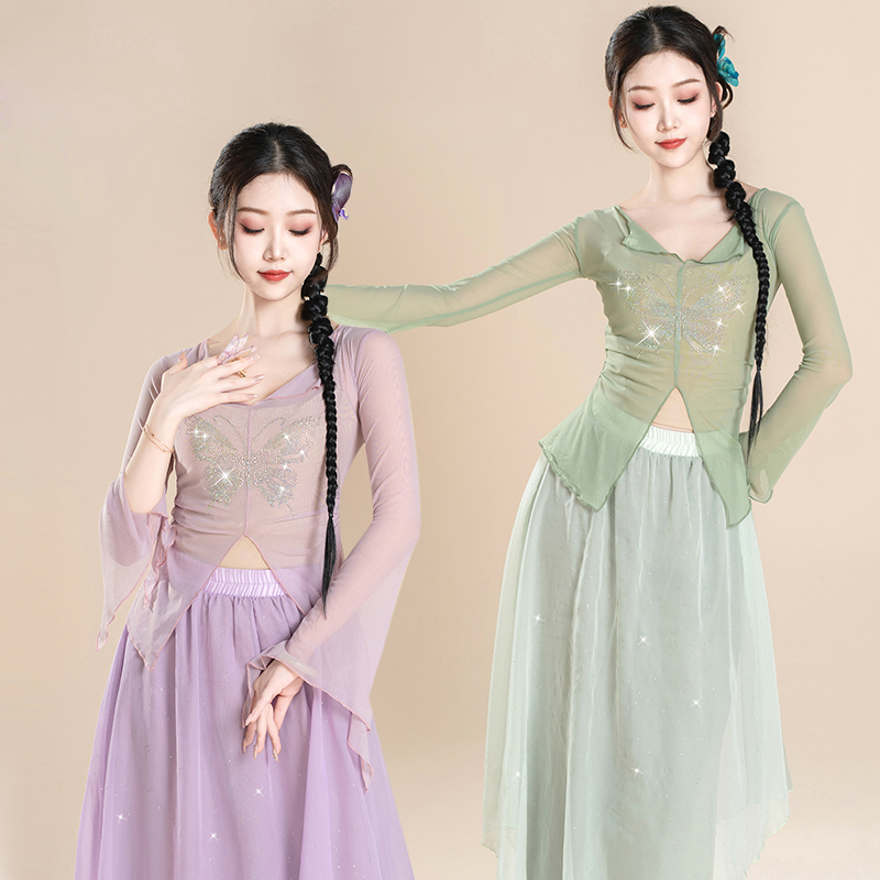 古典舞舞蹈服中国舞演出服现代舞新款练功服身韵烫钻纱衣女