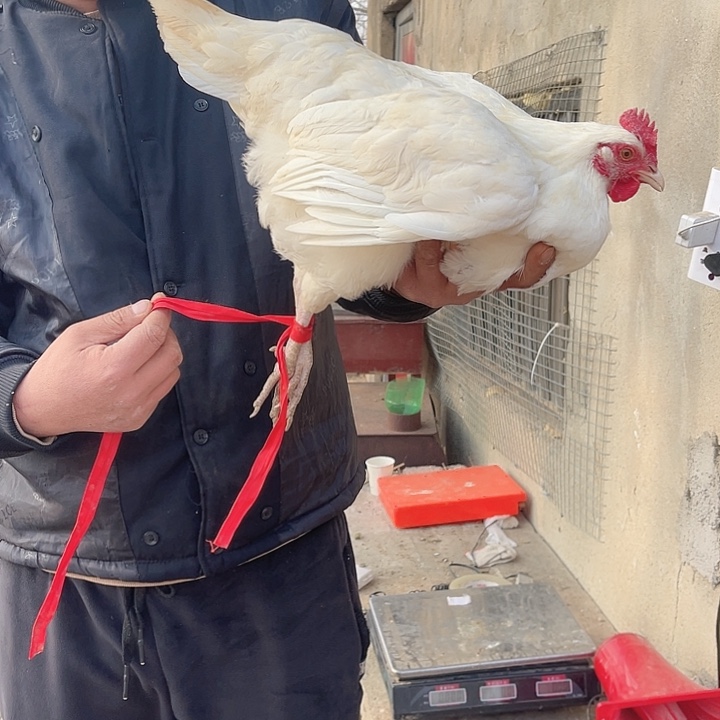 8江苏省食用农产品