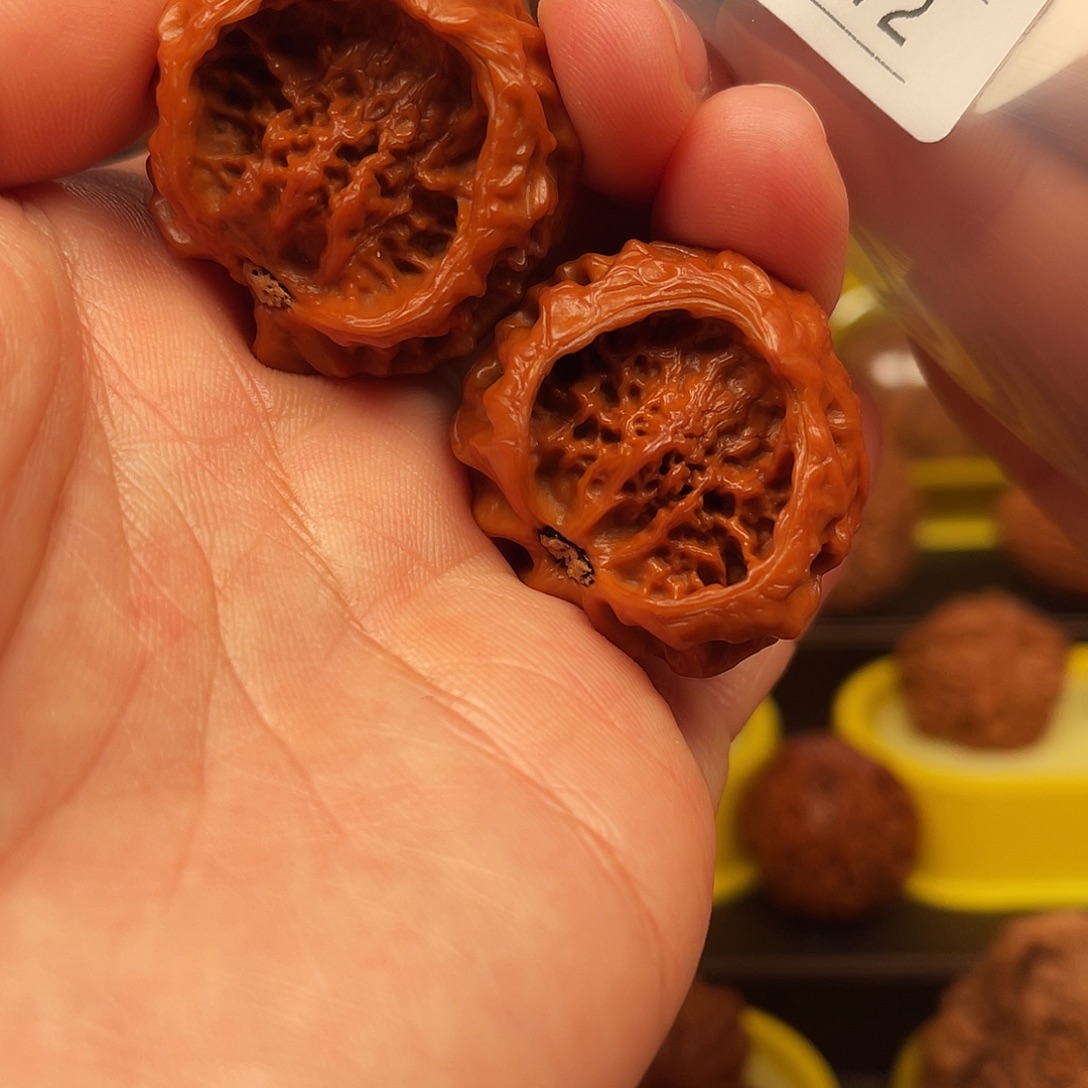 时***线文玩核桃吊坠聚宝盆