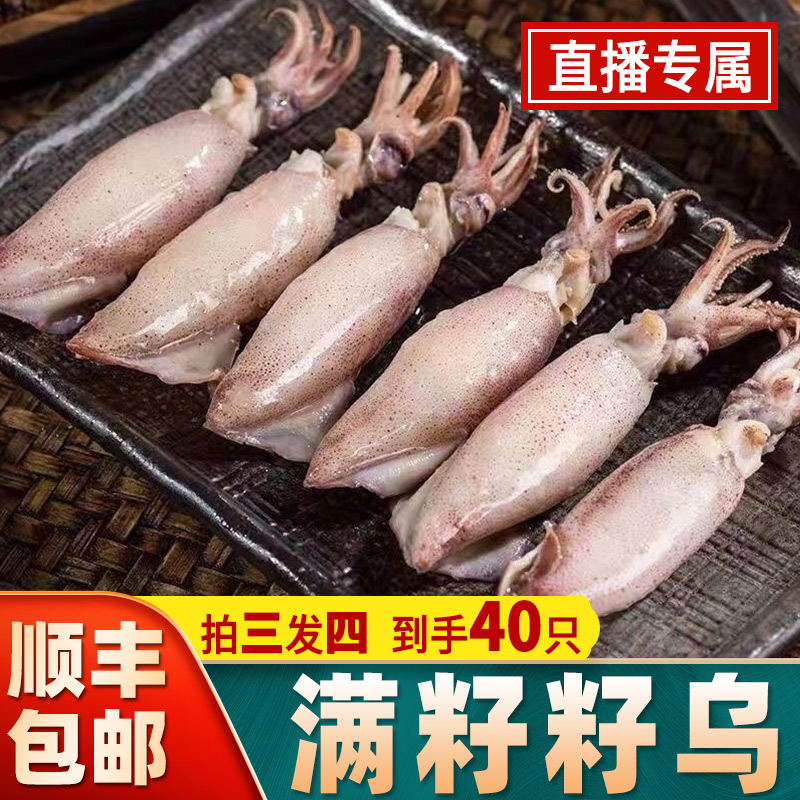 【顺丰冷链】全母天然籽乌海兔笔管鱼新鲜海捕美味水产