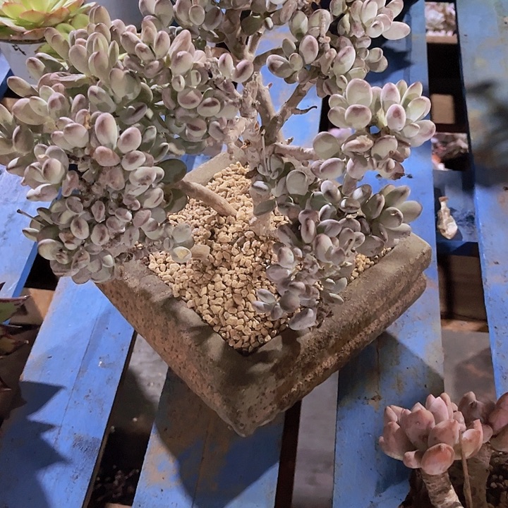 阿***呀一个人不容易吧哈哈很开心我