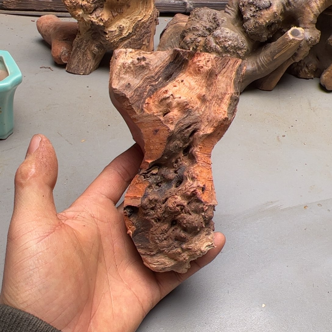 无花朵           386