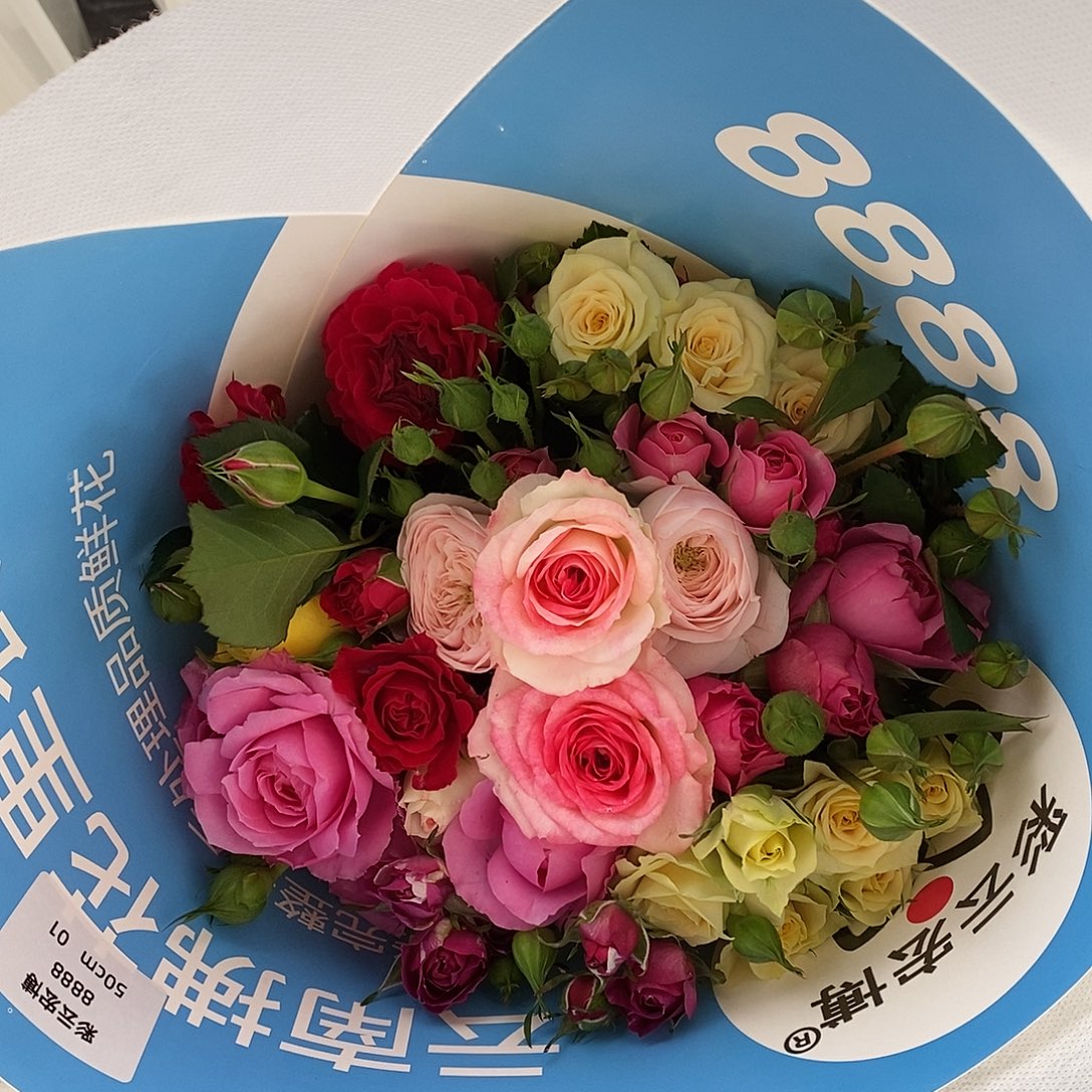 10支  混色多头玫瑰 50-55cm/不包邮