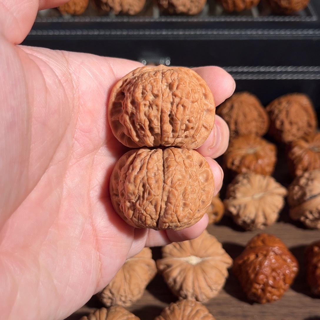 手串/手链核桃39全品血麒麟