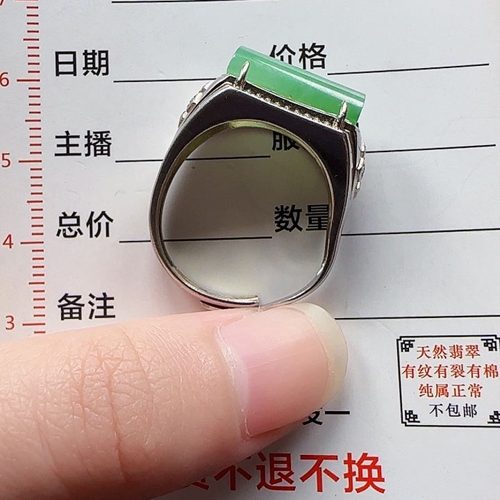 翡翠银S925镶嵌颈饰天然