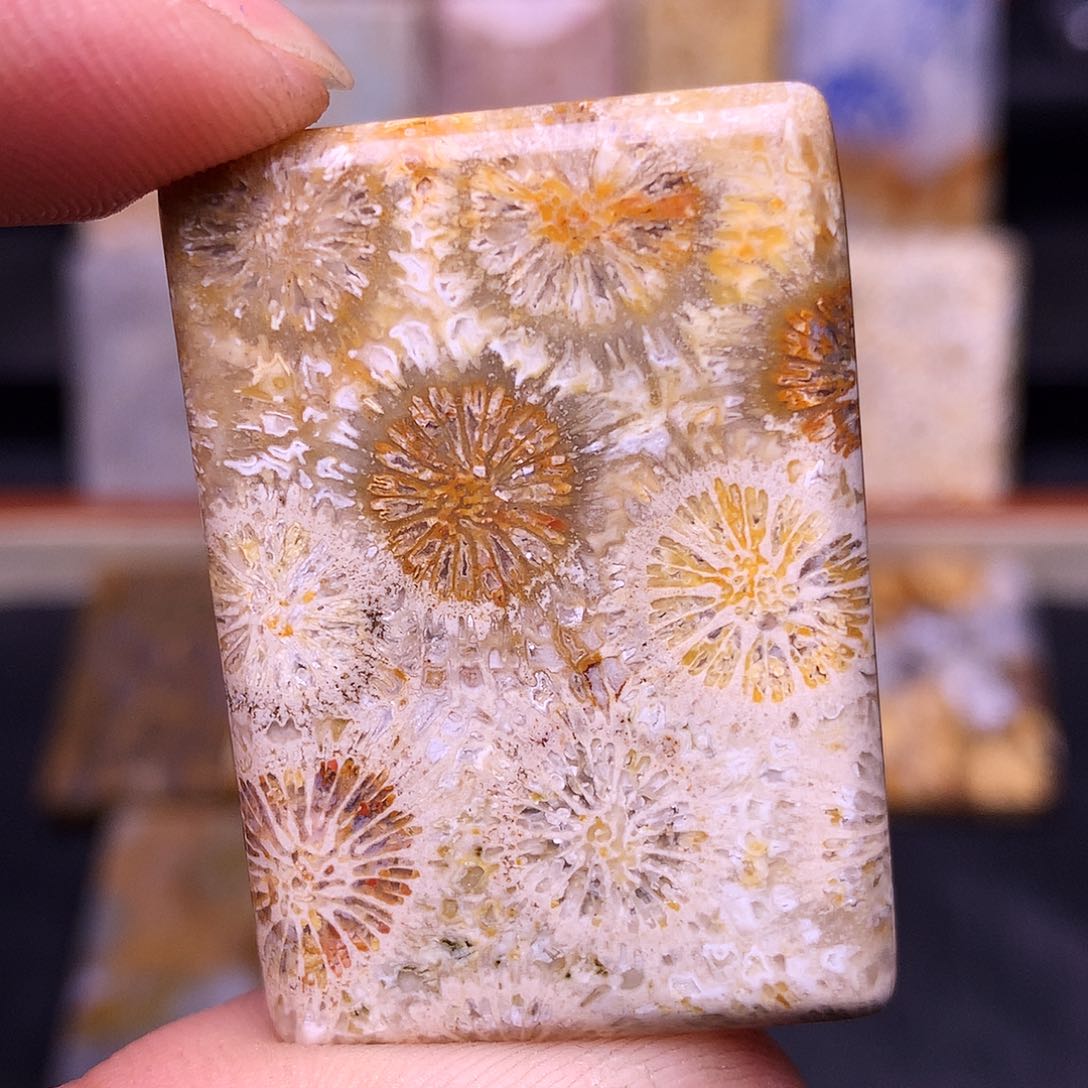 这***么硅化玉珠宝奇石合金