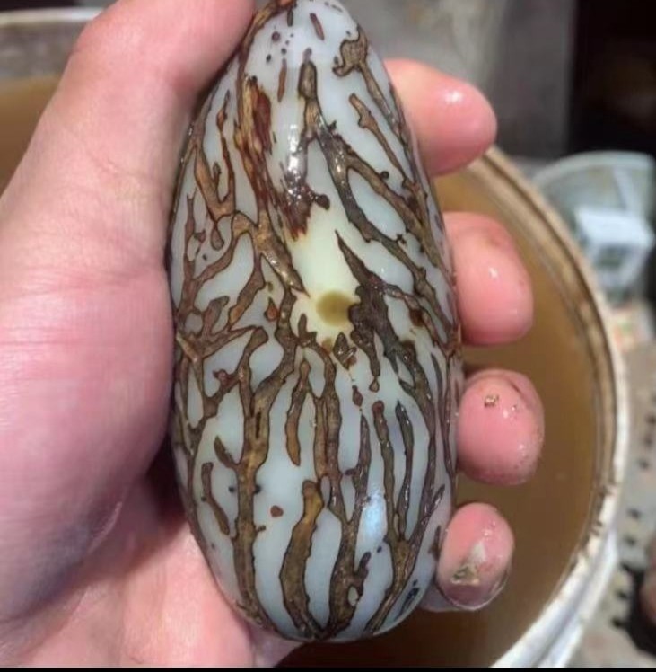 精选霸王果  现磨果 成品发货