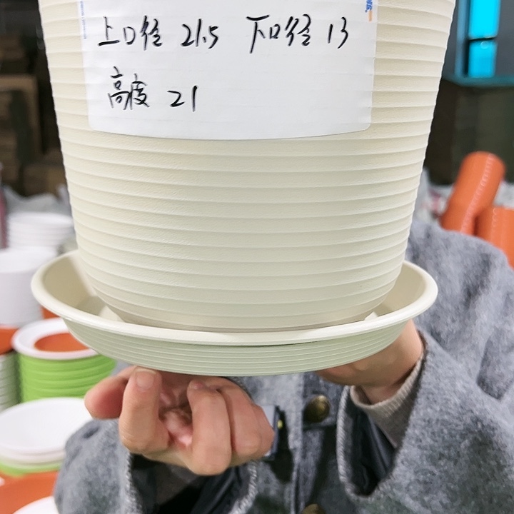 正品高陶口21高21白色6个带托