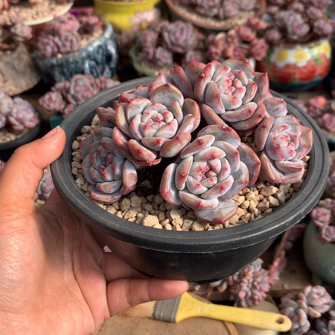 哈哈哈哈哈哈哈哈8