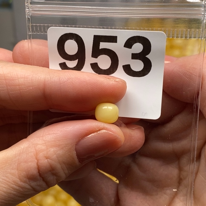 以***马蜜蜡未镶嵌裸石8.1