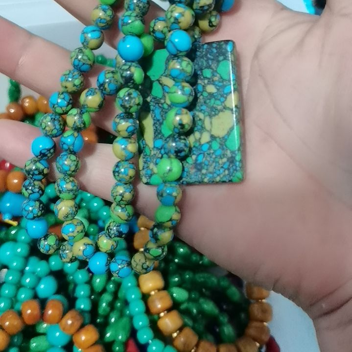 大果紫檀（缅甸花梨）