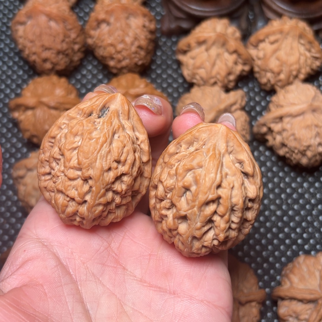 一***勇红锦鲤，全品，边37，，