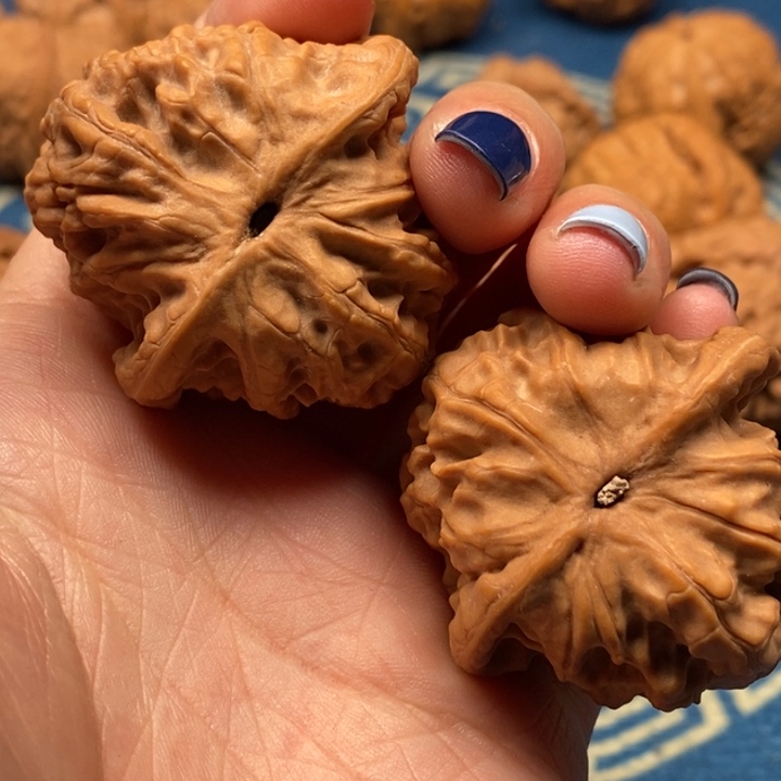 文玩核桃吊坠野狼