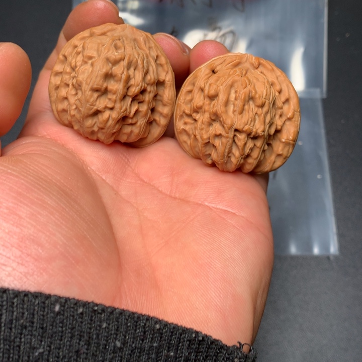 文玩核桃把件40白狮子24