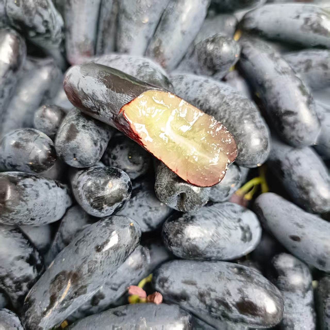 美人指《粒大轻微褶皱 属正常现象》