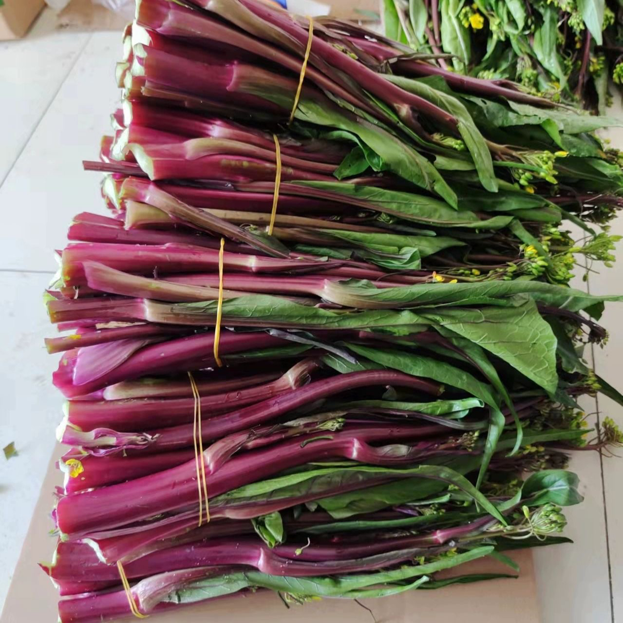 【直播间专享】湖北红菜苔新鲜脆嫩产地直发