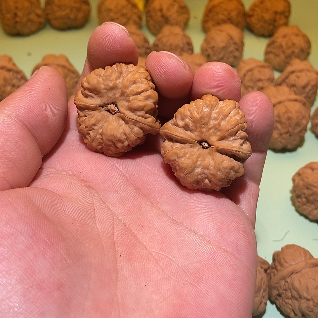 文玩核桃吊坠小*鸽蛤蟆头35全品