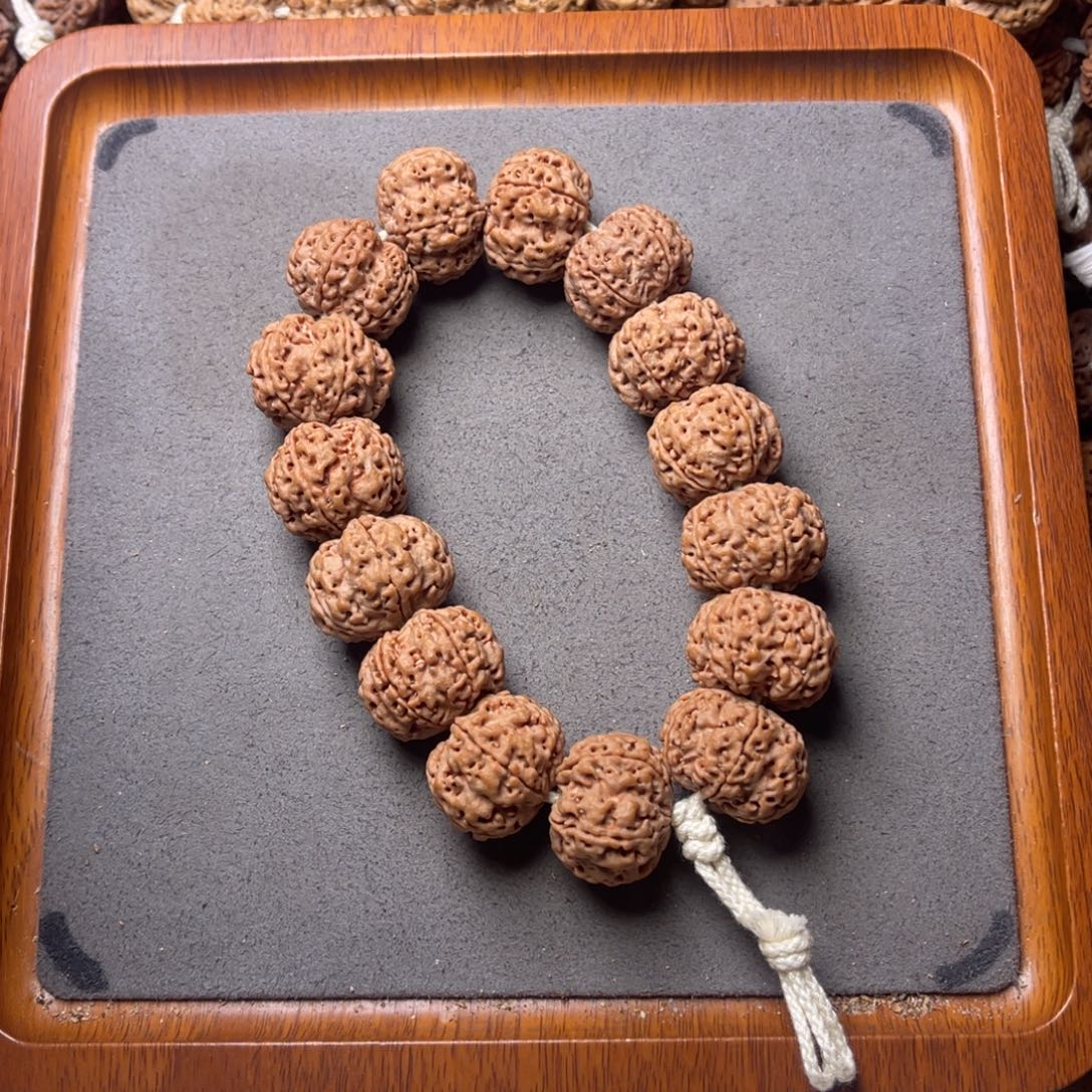 菩提籽类19号金刚菩提矮壮梅花22+