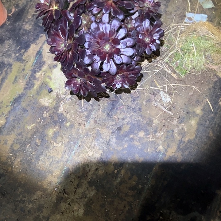 法师一物一拍链接89