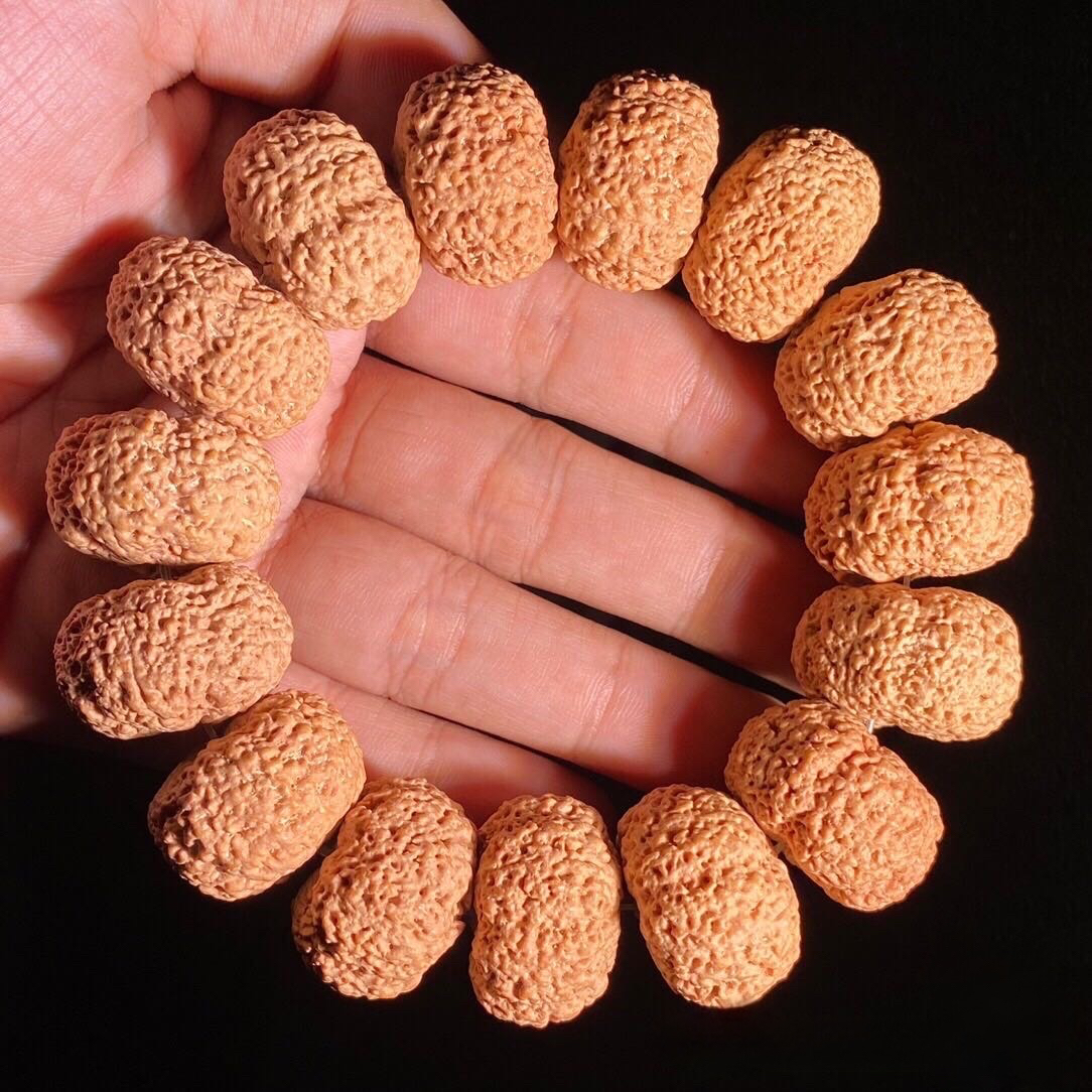 顶奢级（超头）熊猫菠萝蜜板王