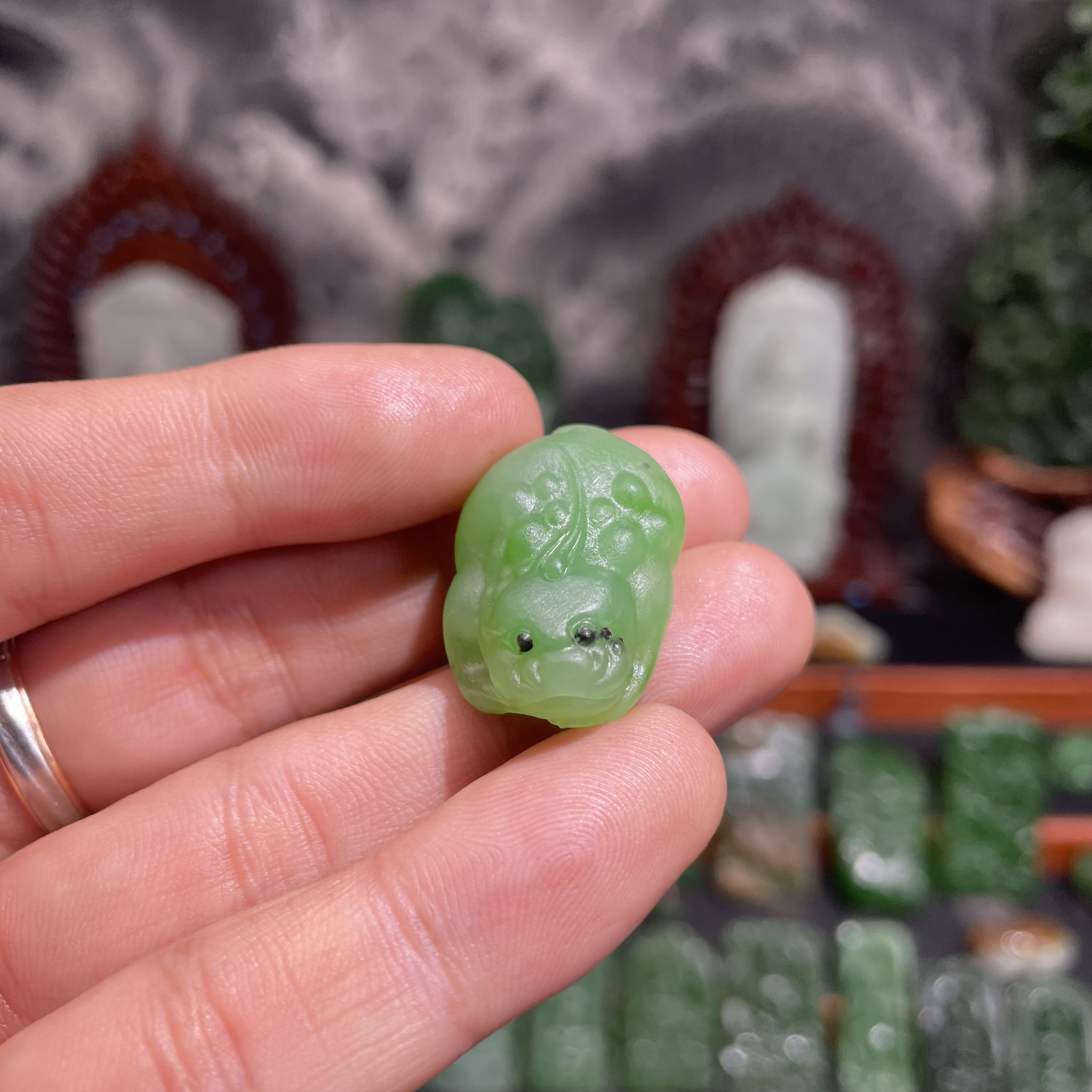 俄罗斯碧玉苹果绿金蟾