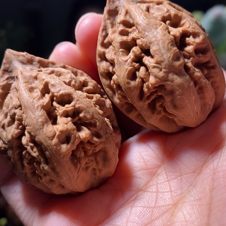 把件文玩核桃东北楸子小路 158