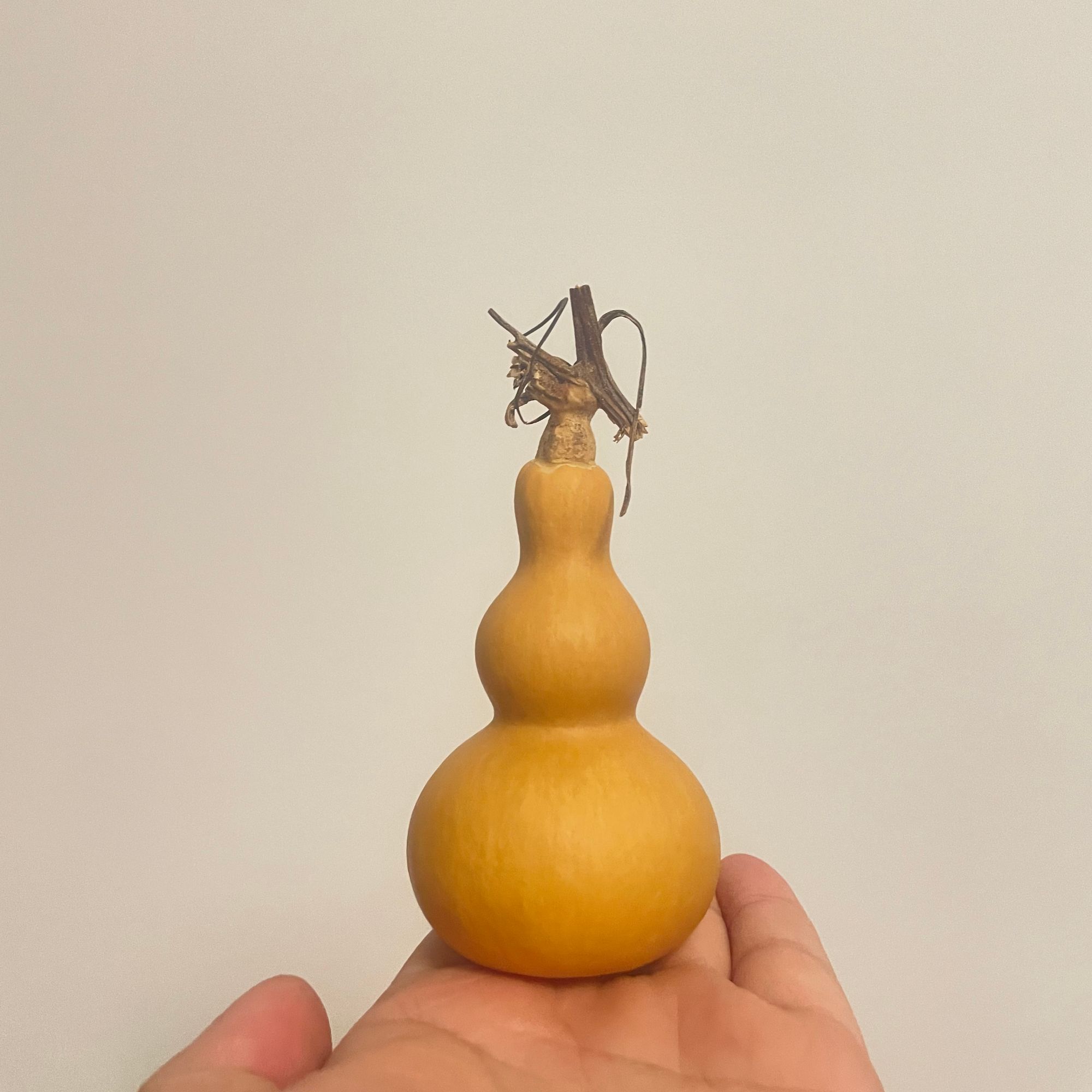 2号天然小葫芦手把件文玩盘玩专用福禄葫芦（直播间专拍，切勿盲拍）