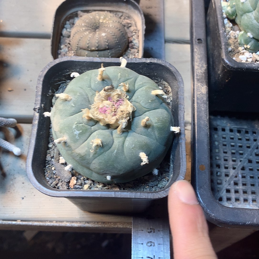 阿*鱼，，，，，，，，，，，，，，，