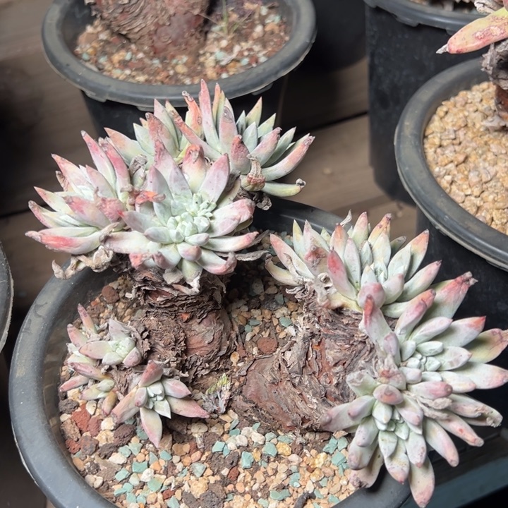 1629哈哈哈哈哈哈哈哈哈