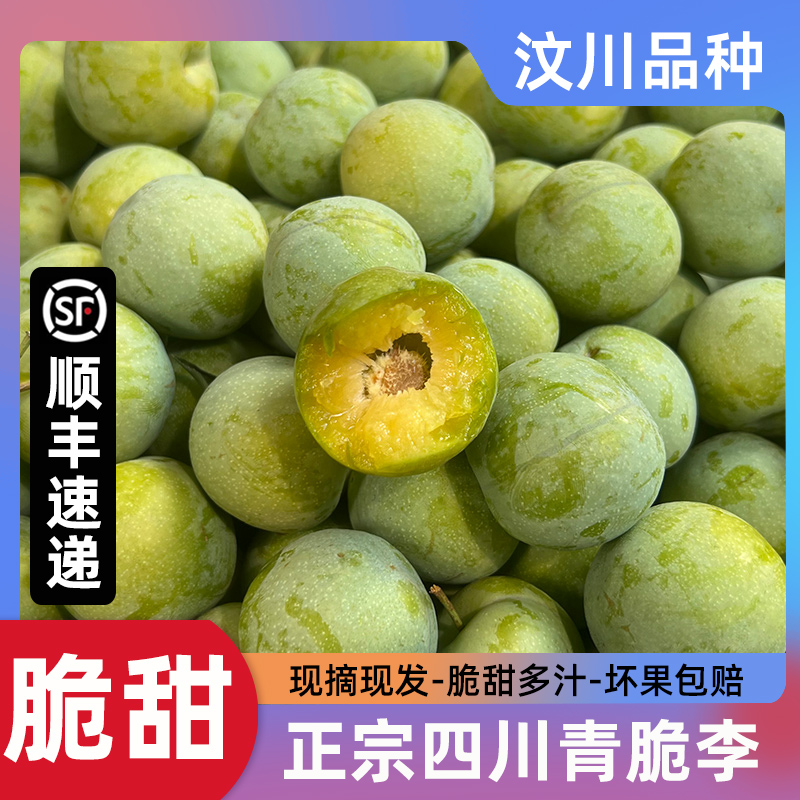 【顺丰冷链-坏果包赔】正宗四川青脆李汶川品种脱骨李子新鲜水果