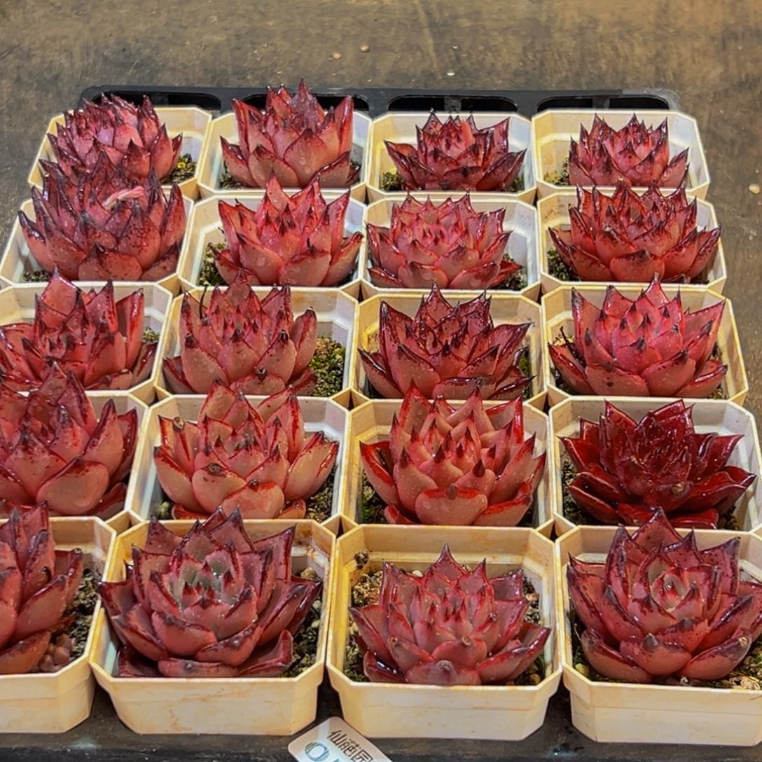 怡***然056；额头的小细纹都会慢慢