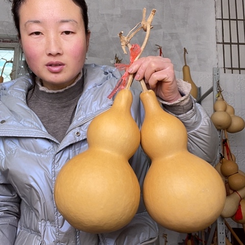 天然植物葫芦文玩