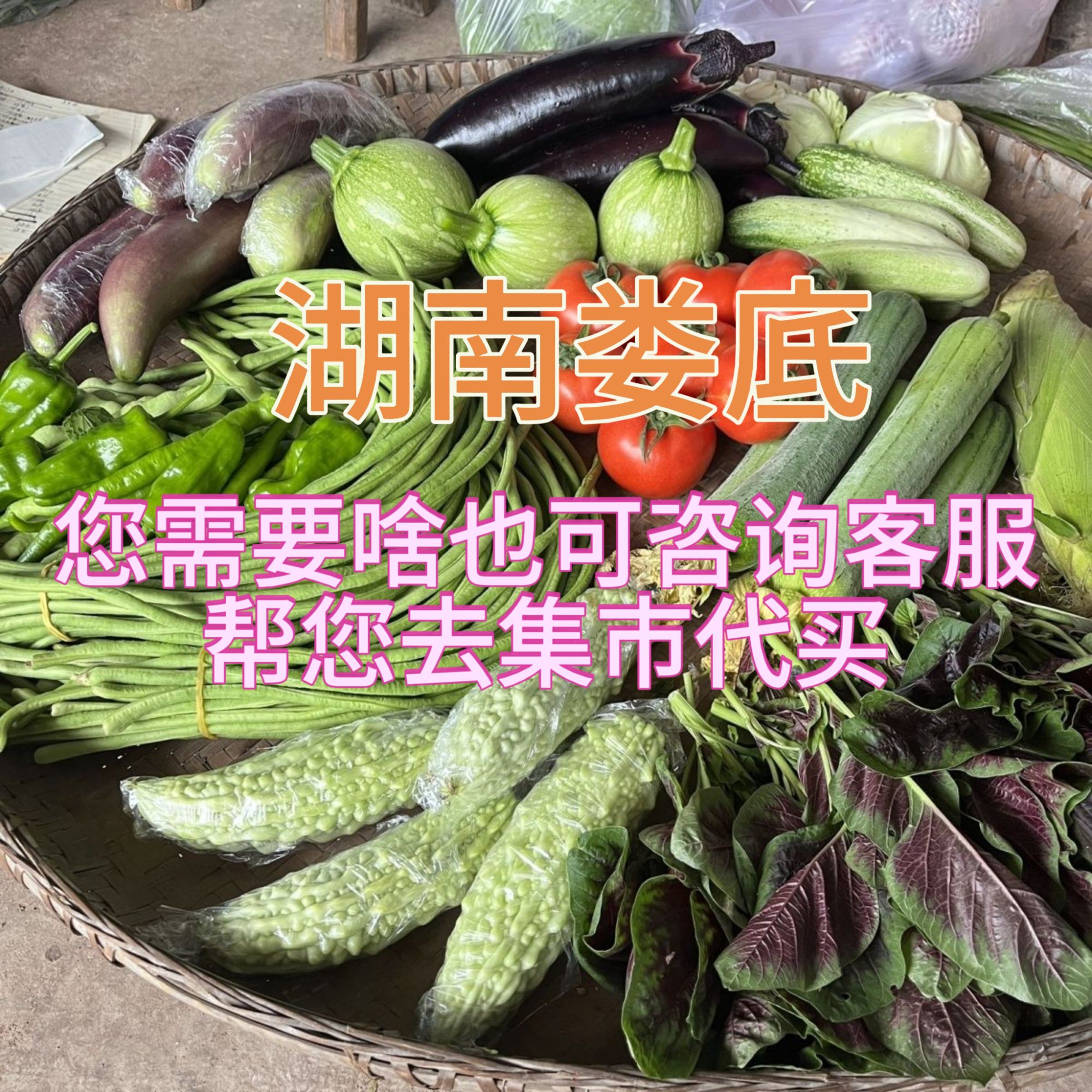 【农户自种蔬菜】湖南娄底小农户自种蔬菜农家肥蔬菜辣椒玉米土豆等