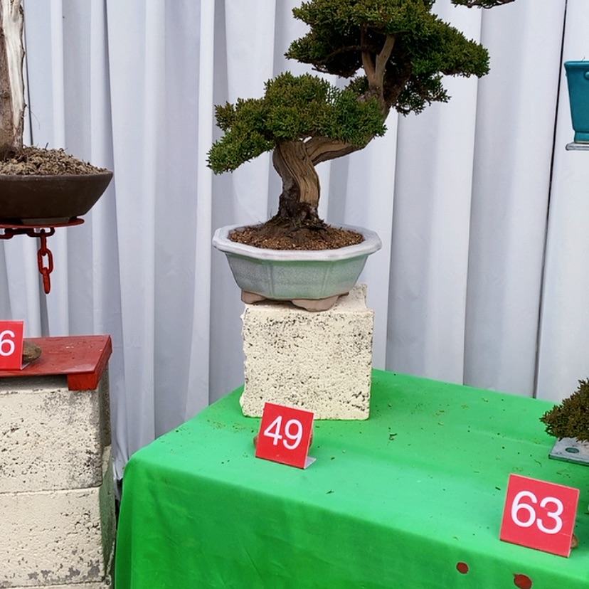 【闪购商品】完全开放和**静