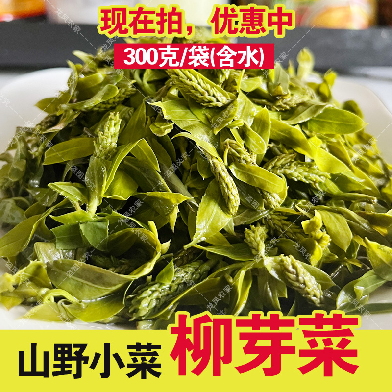 柳条菜柳树芽柳芽菜柳絮山野菜袋装含水凉拌烙饼做馅商用家用