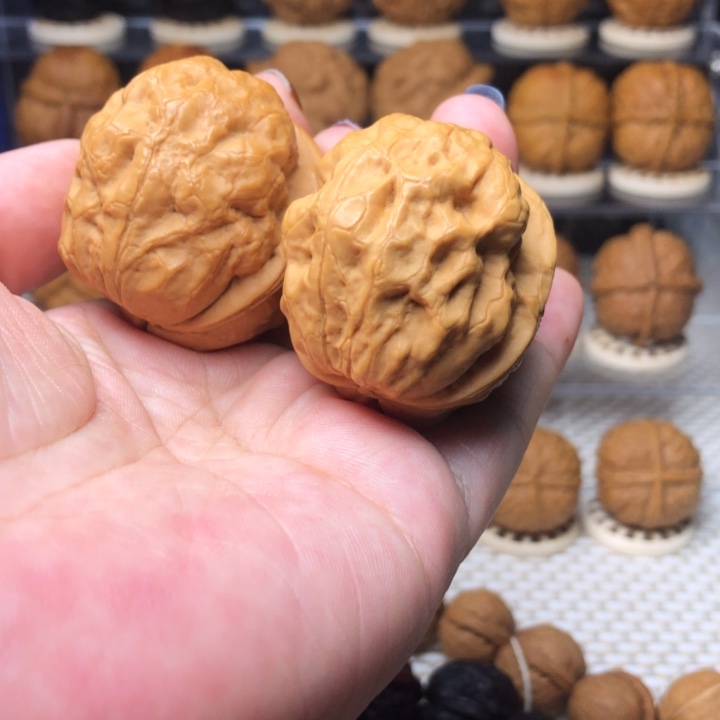 文玩核桃把件30金蟾疙瘩包