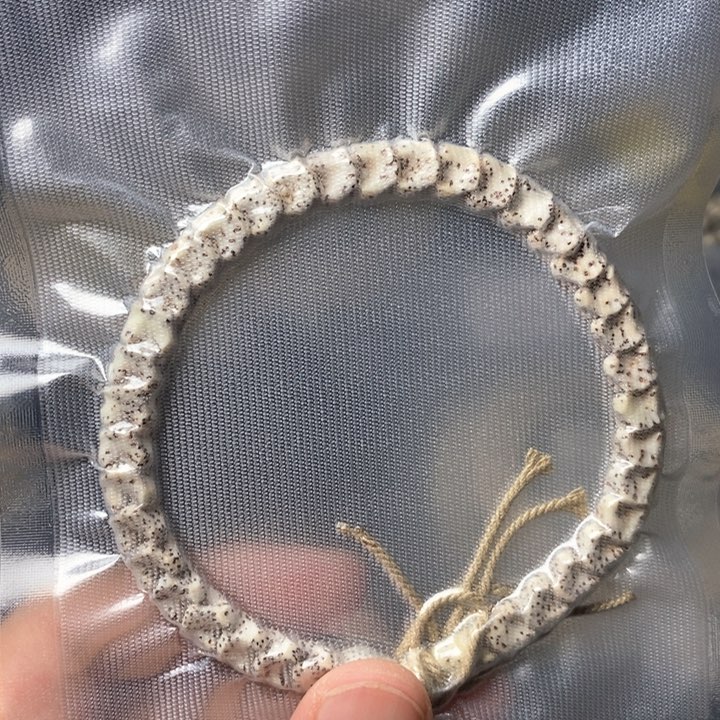 星月菩提手串蛇骨白