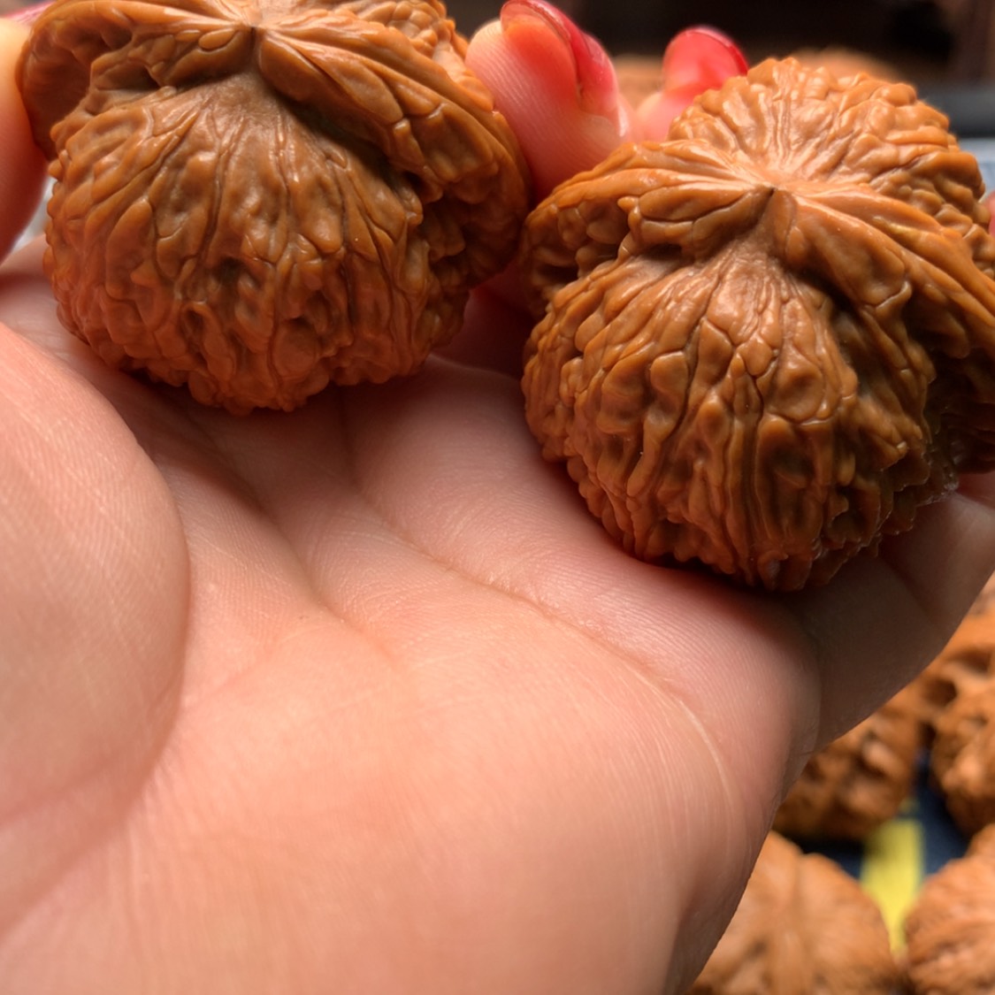 【闪购商品】把件文玩核桃堇**华白狮子42