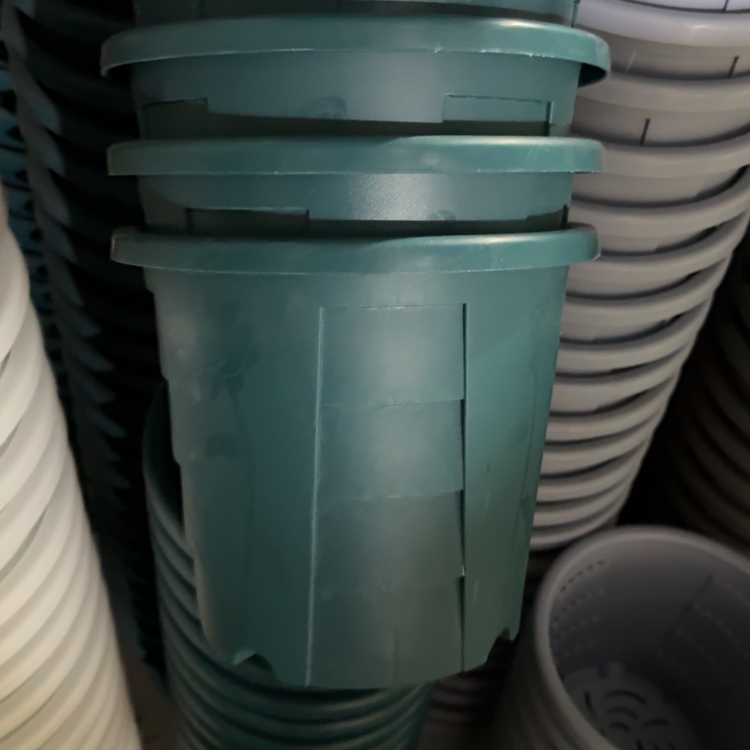 测2#口径22无拖军绿5个