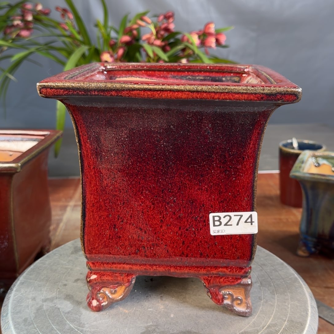 红泥花盆一**生274