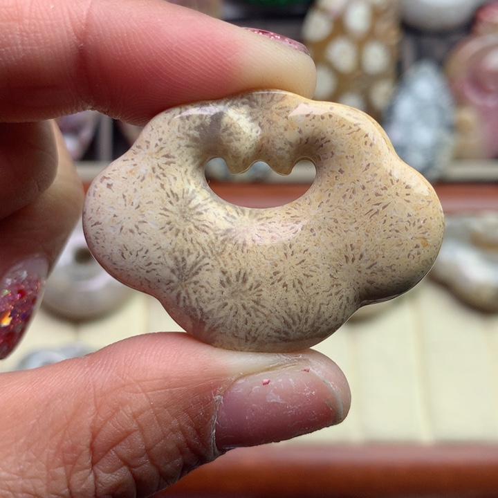 硅化珊瑚（珊瑚玉）颈饰未镶嵌