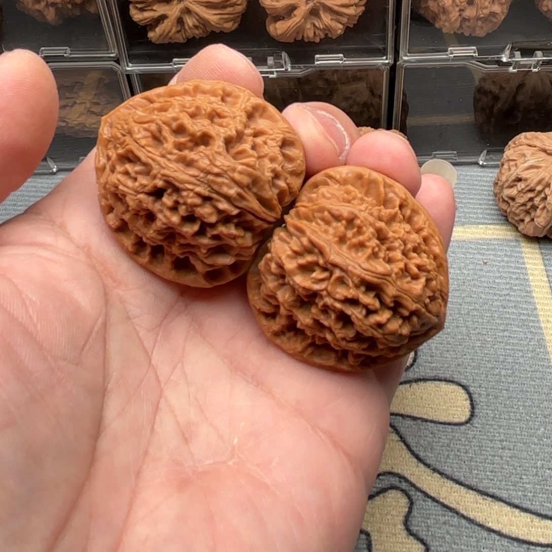 文玩核桃把件水龙纹